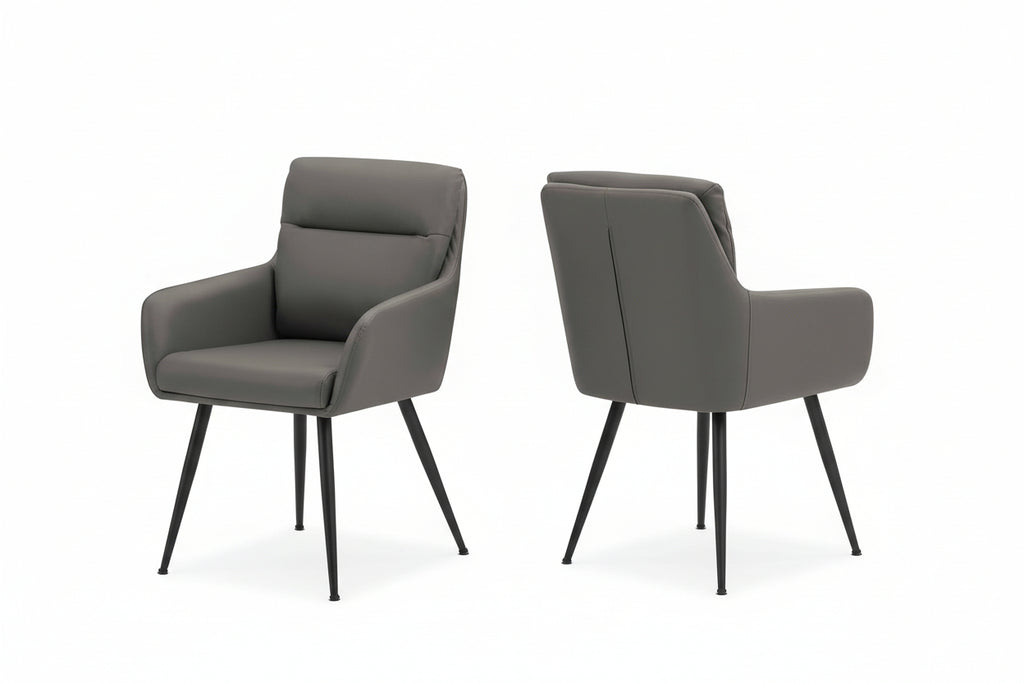 Pair of Meuble Divino contemporary dining chairs with cushioned seats and metal frames, set of 2 for modern kitchen or dining room.